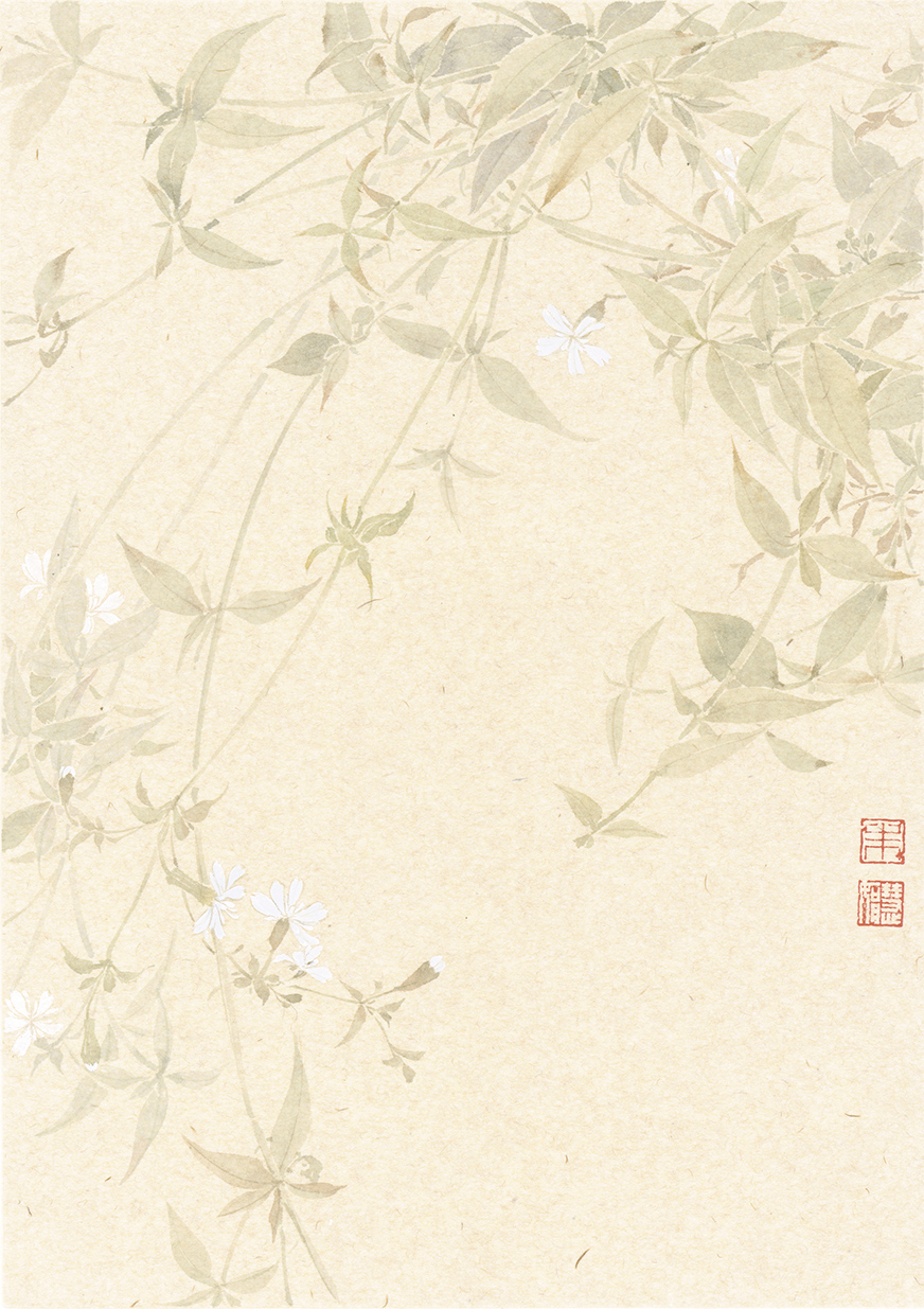 朱慧娟5.jpg