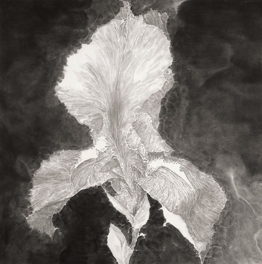 单鼎凯 花的姿态 123cm×123cm 2023年.jpg