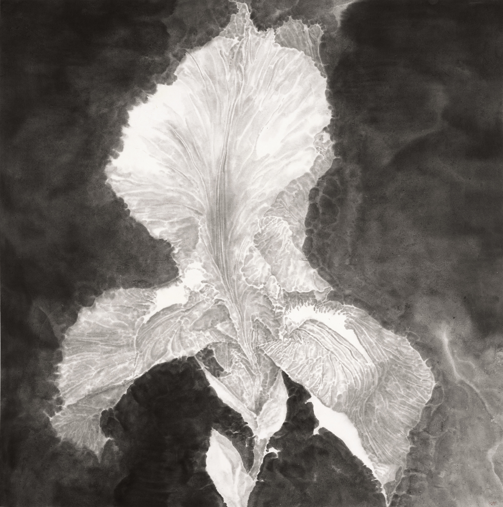 26、单鼎凯 花的姿态 123cm×123cm 2023年.jpg