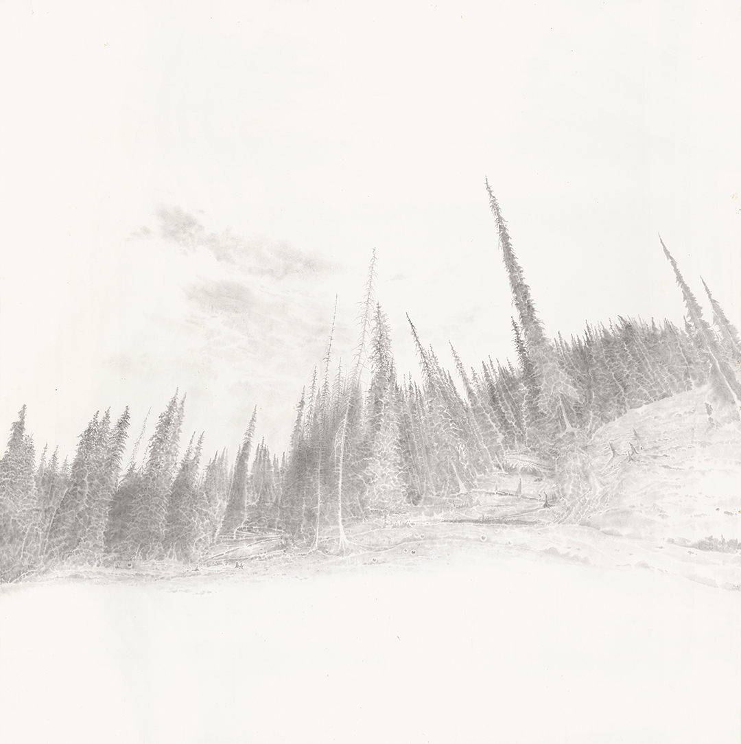 26单鼎凯 树系列之一 200cm×200cm 2025年 拷贝.jpg